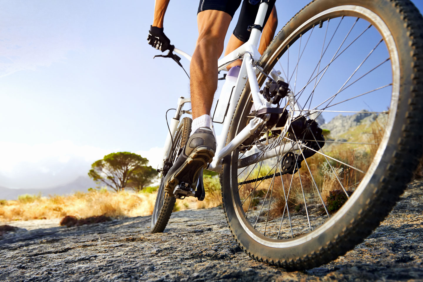 mountain bike