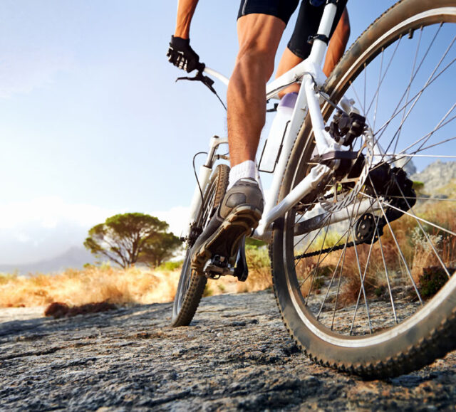 Mountain bike